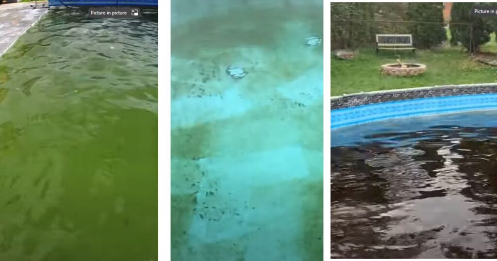 How to remove dead algae from pool without a vacuum?
