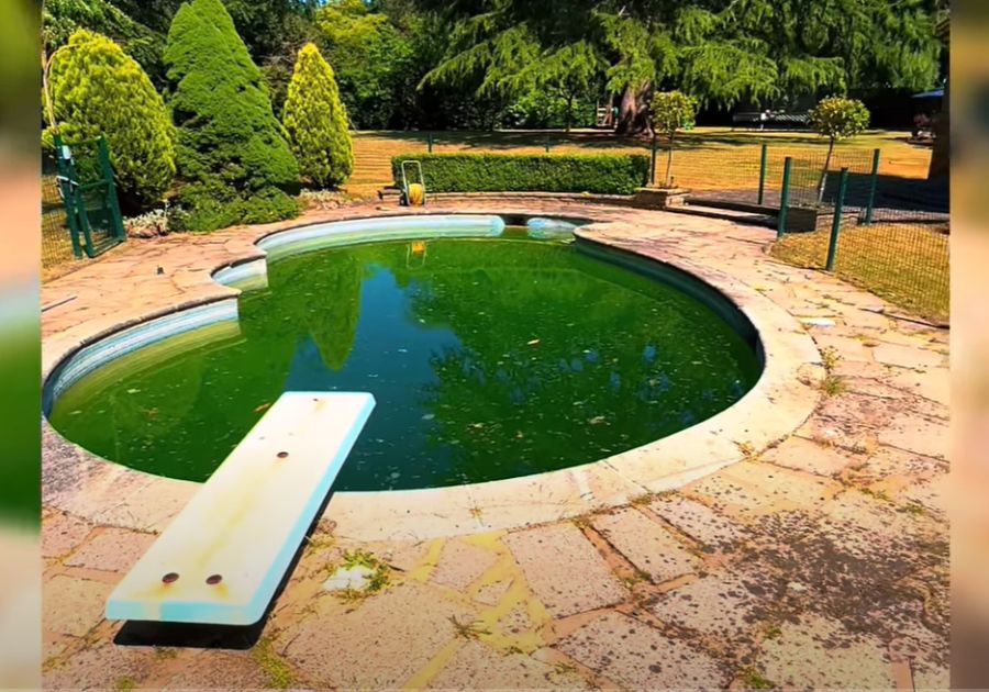 How to remove dead algae from pool without a vacuum?