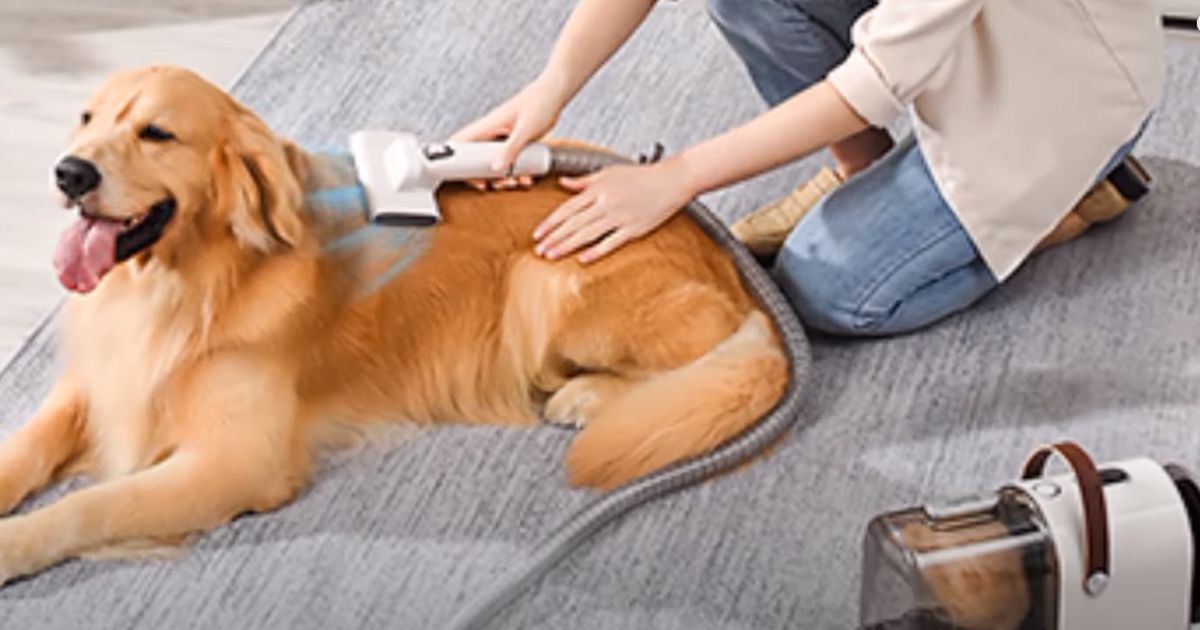Best dog hair grooming vacuum