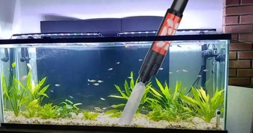 How often to vacuum gravel in fish tank?