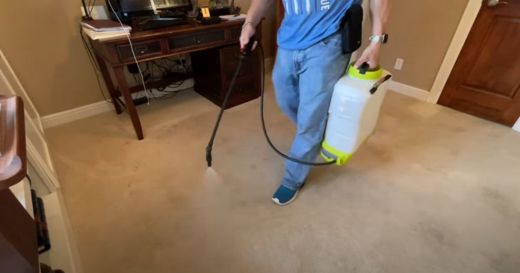 Can you put bleach in carpet cleaner?
