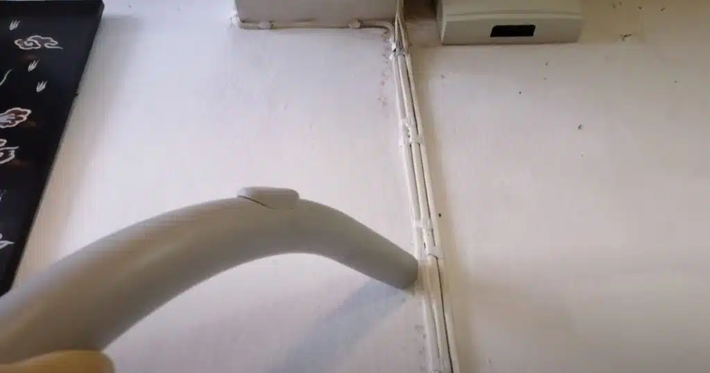 Does vacuuming ants kill them?