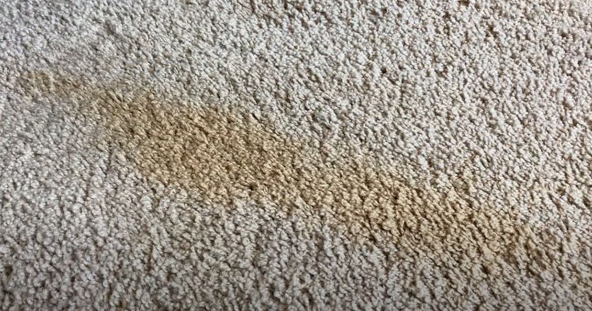 Can you put bleach in carpet cleaner?