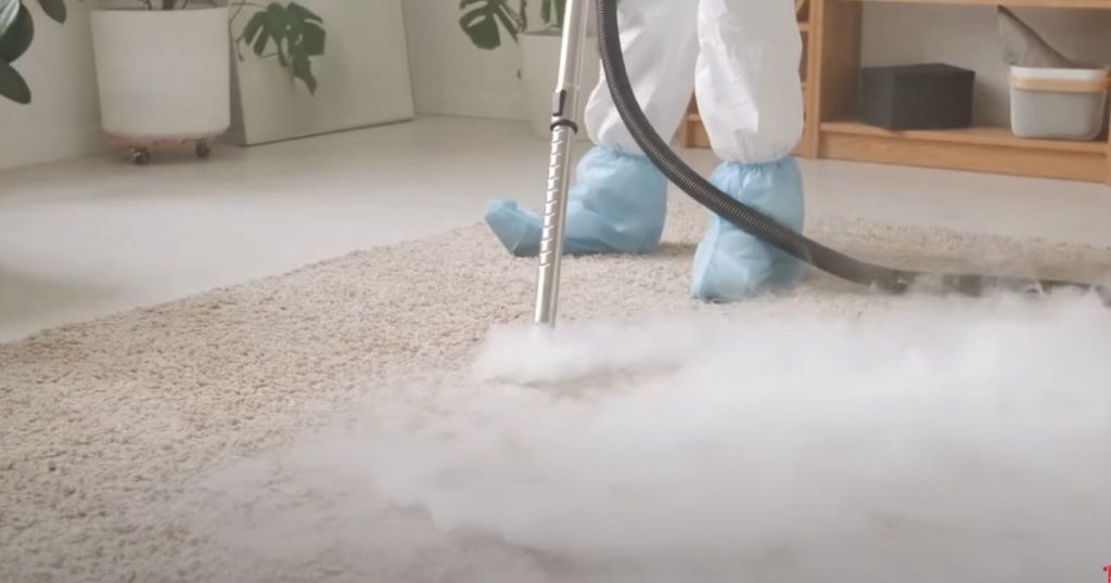 Steam Cleaner vs. Carpet Cleaner