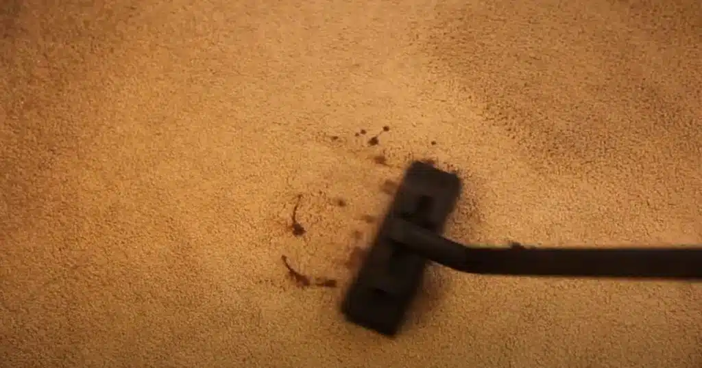Does Steam Cleaning Remove Carpet Stains?