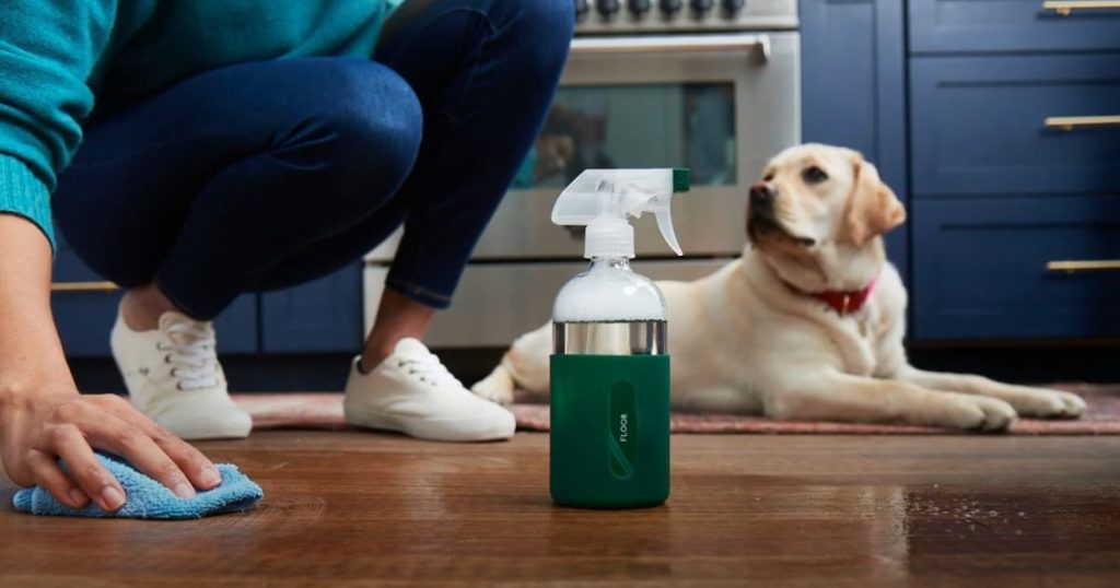 Best Floor Cleaner For Pets
