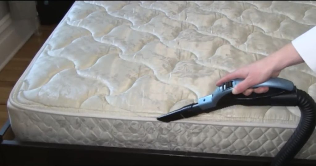 When Can I Vacuum After Bed Bug Treatment?