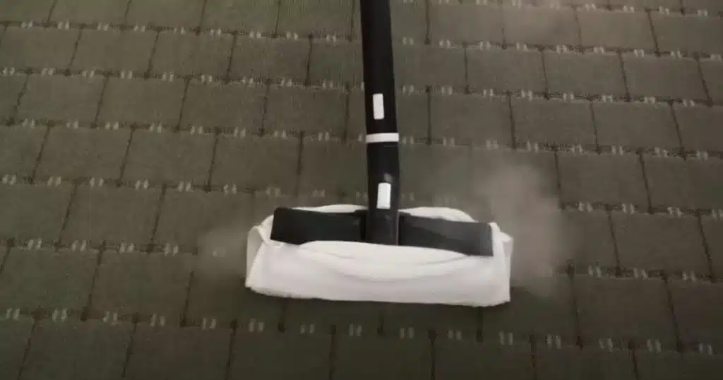 Does steam cleaning kill mold