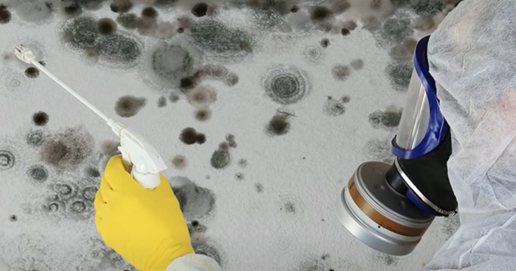 Does steam cleaning kill mold