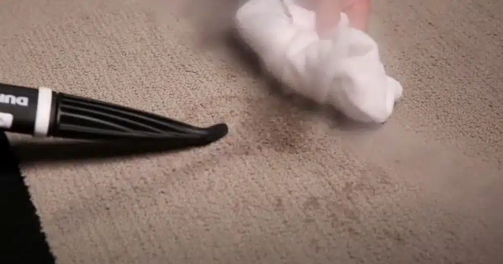 Does Steam Cleaning Remove Carpet Stains?