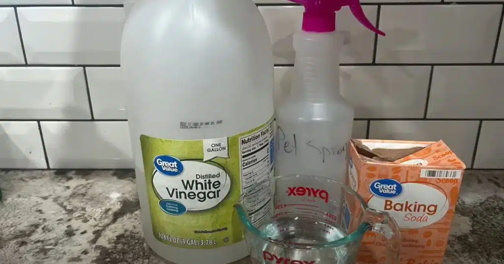 How to get urine smell out of hardwood floors
