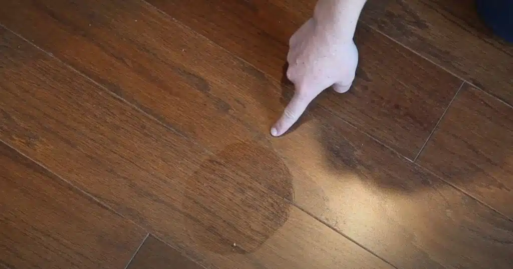 How to get urine smell out of hardwood floors
