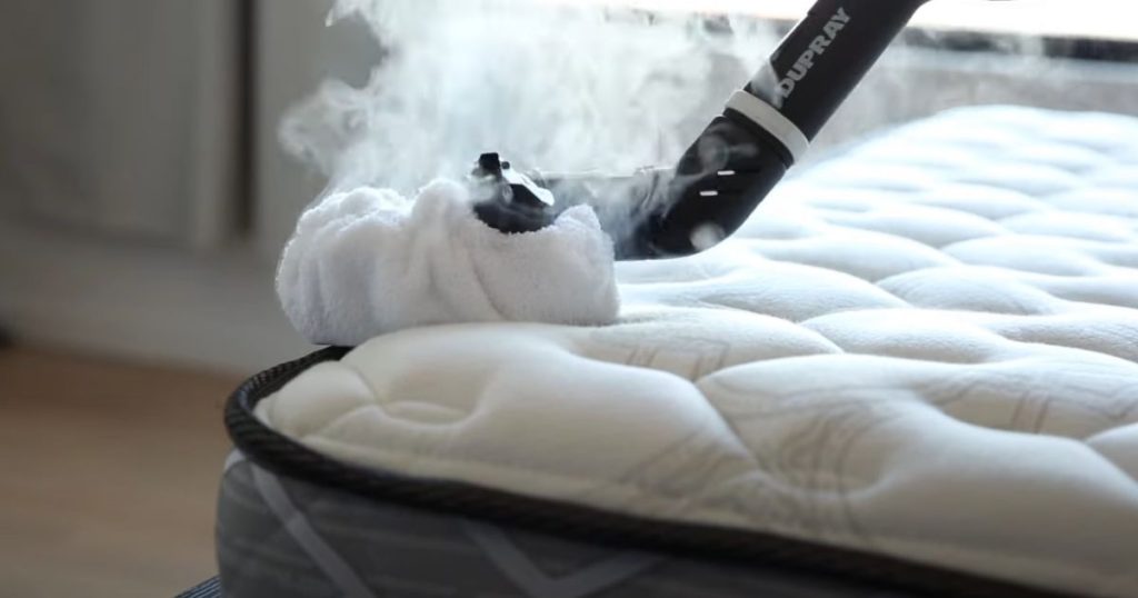 Best Steam Cleaner for Bed Bugs