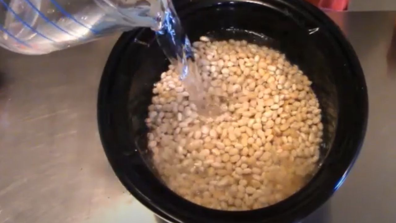 How to Cook Grain White Beans in a Crock Pot