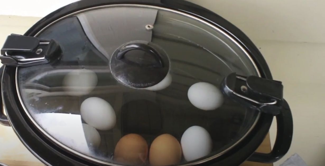 Sauna Eggs Crock Pot 